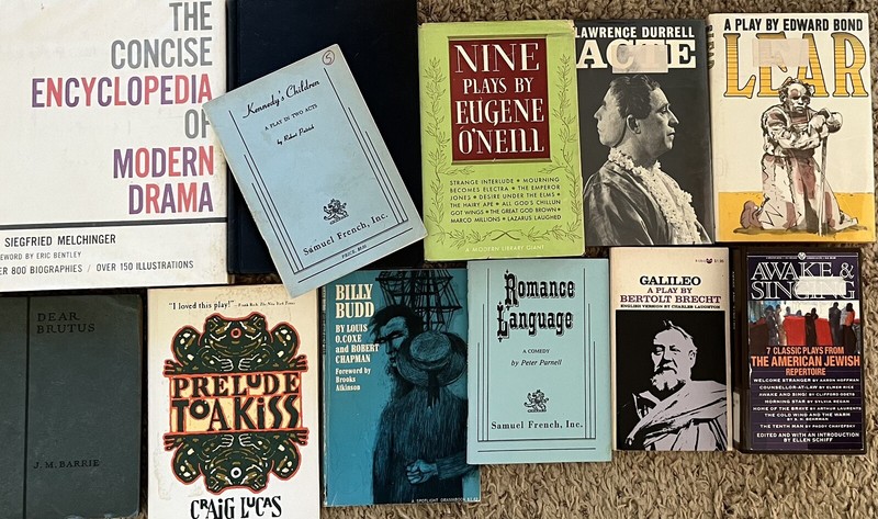 DRAMA PLAYS THEATRE SCRIPTS LOT 12 Books Literature Diverse Theater Collection