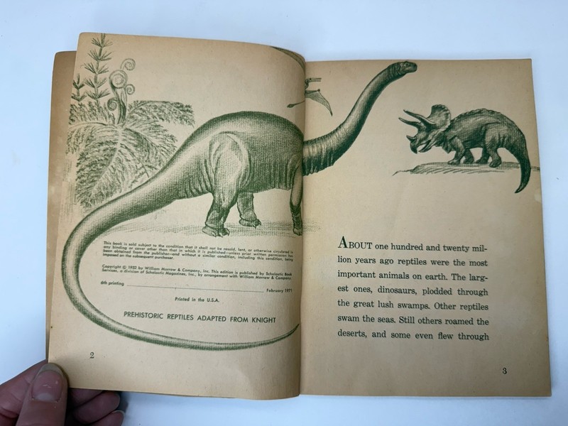 Alligators And Crocodiles by Herbert S. Zim, 1970, Small Vintage Paperback gallery
