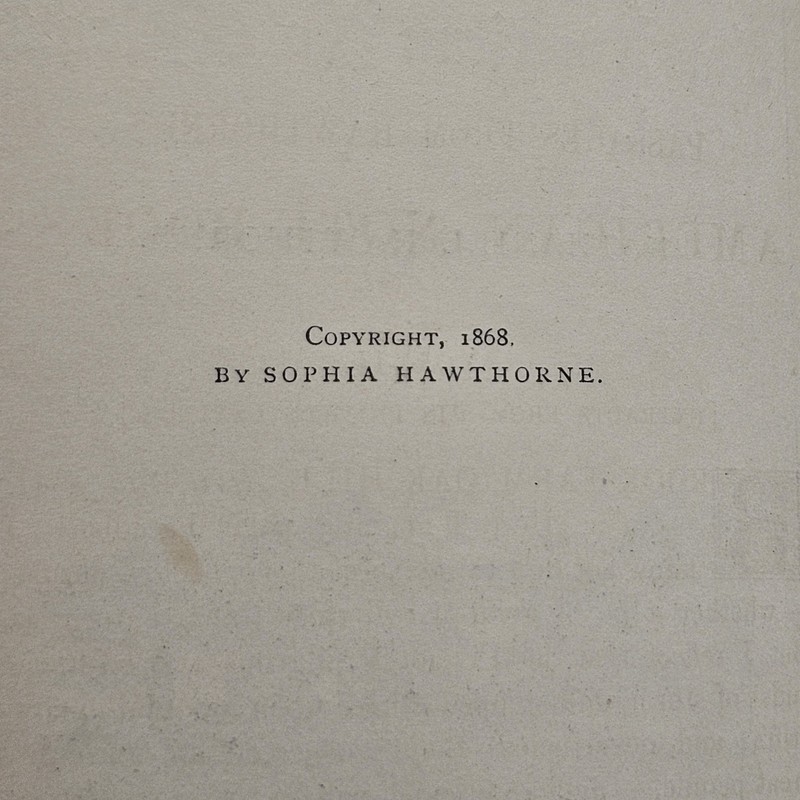 Hawthorne American Note-Books Vol II 1881 Half Leather gallery