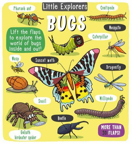 Little Explorers: Bugs Format: Children/juvenile