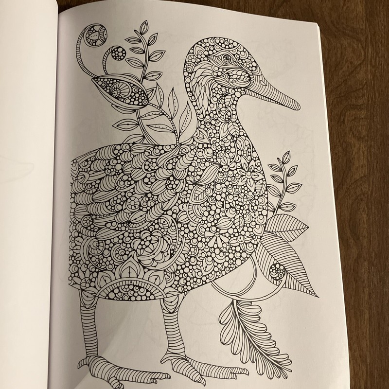 Animals Coloring Book, Paperback, LIKE NEW (952) gallery