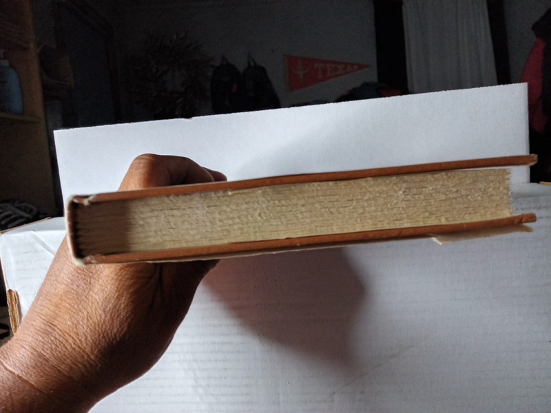 Millennium 1999, A Novel About People And Politics by Ben Bova, 1976 BCE gallery