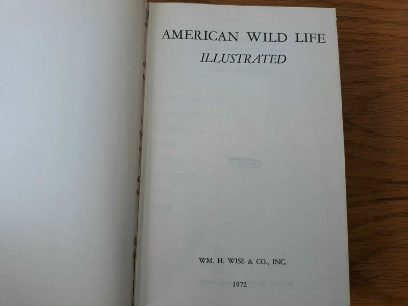 American Wildlife Illustrated, WM. H. Wise & Co., 1972 Edition Hardcover gallery