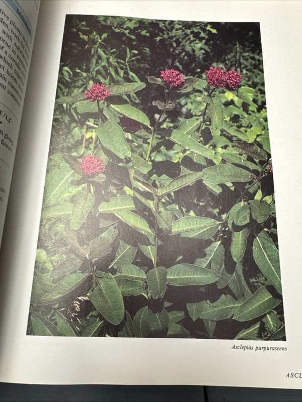 Ruth Rogers CLAUSEN, Nicolas H Ekstrom / Perennials for American Gardens 1st ed gallery