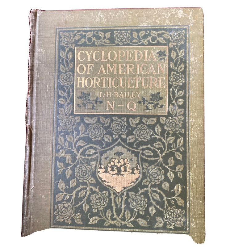1904 Cyclopedia Of American Horticultural 700 Original Engravings Volume 3 N-Q