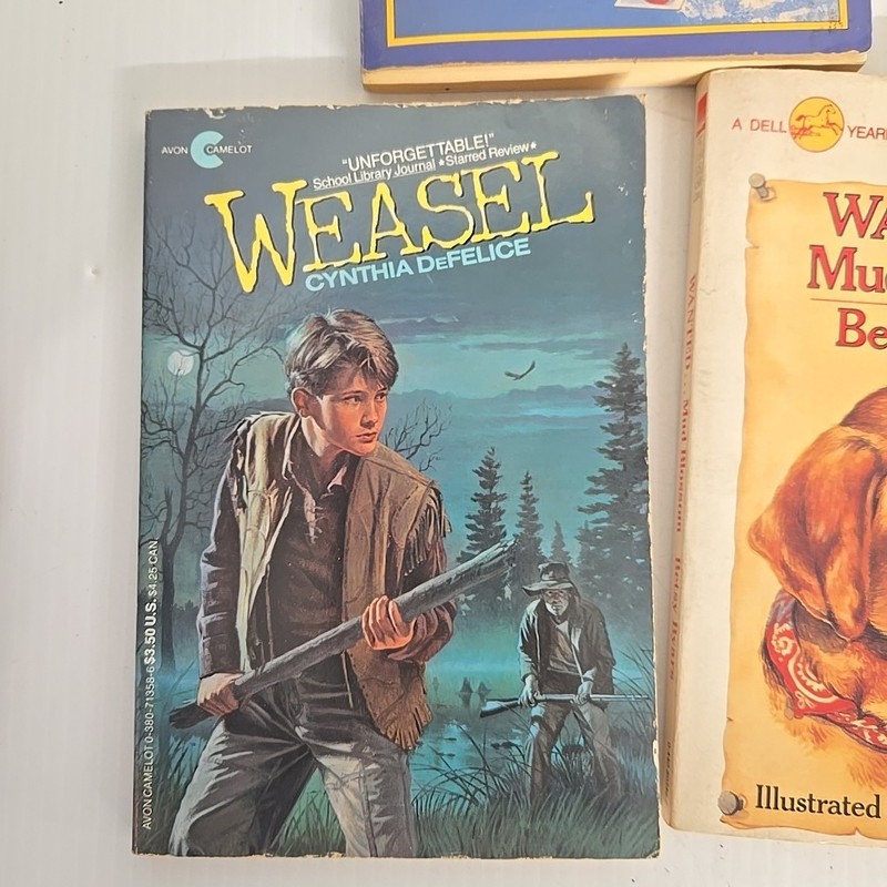 Lot of 7 classic Vintage Young Teen Books gallery
