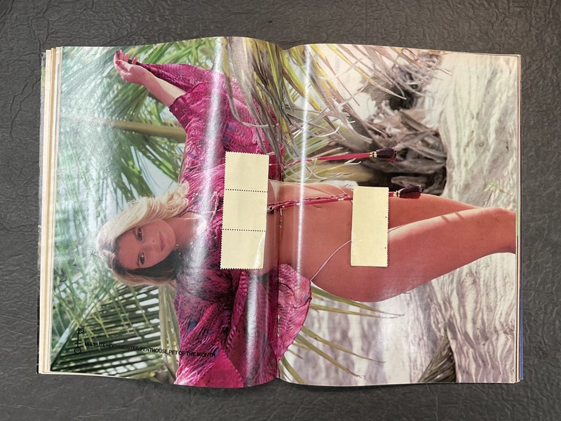 Penthouse Magazine May 1982 Ute Hochmeister Centerfold Intact Solid Condition gallery
