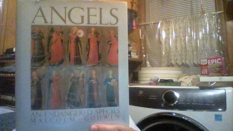 Angels: An endangered species