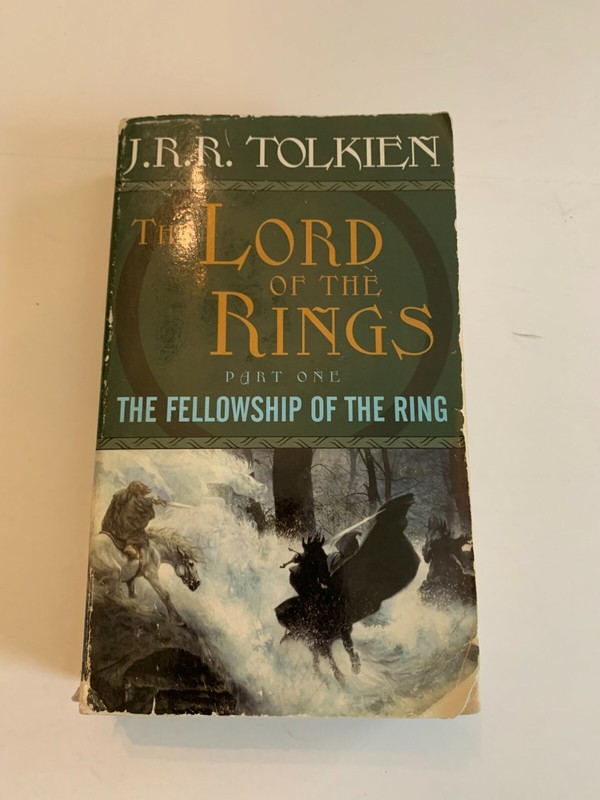 1994 The Lord Of The Rings The Fellowship Of The Ring by JRR Tolkien Paperback