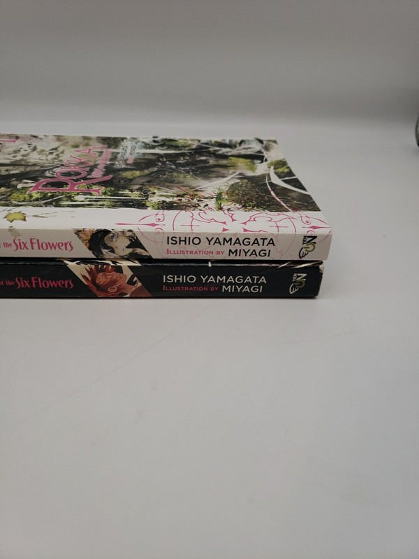 Rokka: Braves of the Six Flowers (Volumes 1 & 6) Light Novel Yen Press FREE SHIP gallery