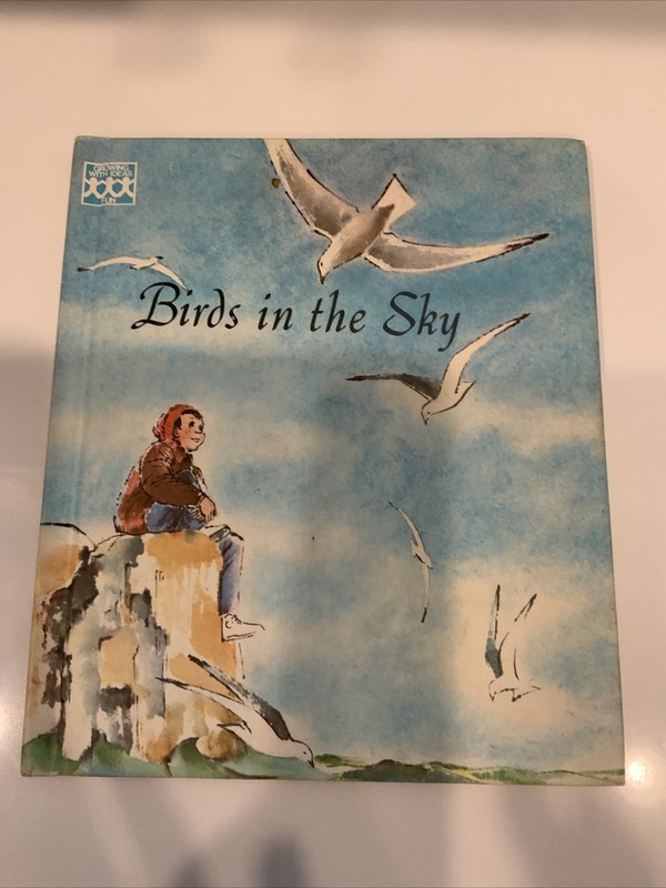 Vintage BIRDS IN THE SKY Lucy John Hawkinson Growing with Ideas 1965 NICE
