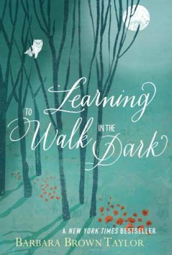 Learning to Walk in the Dark – Paperback By Taylor, Barbara Brown – GOOD