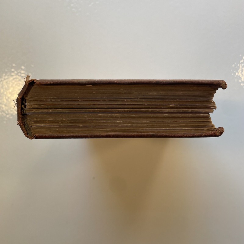 Enigmas of Life by W. R. Greg, 1880, Antique Hardcover, Henry Holt and Company. gallery