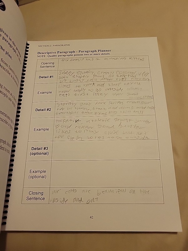 Essentials in Writing Student Text Level 10 And 11 by Matthew Stephens Lot gallery