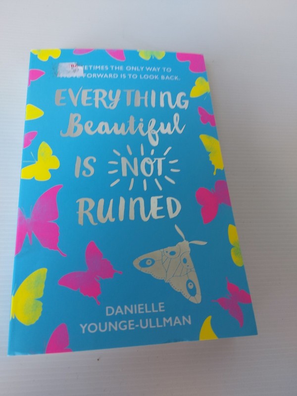 Everything Beautiful is Not Ruin By Danielle Younge-Ullman PB In Aust now