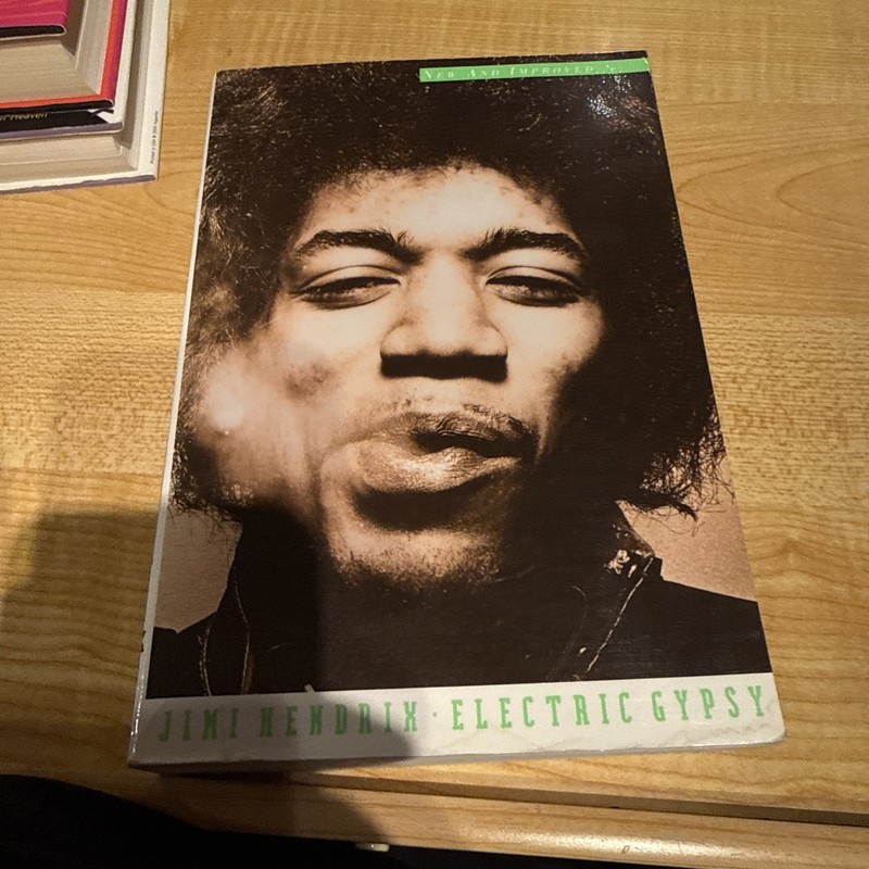 Jimi Hendrix : Electric Gypsy by Caesar Glebbeek and Harry Shapiro (1995, Trade