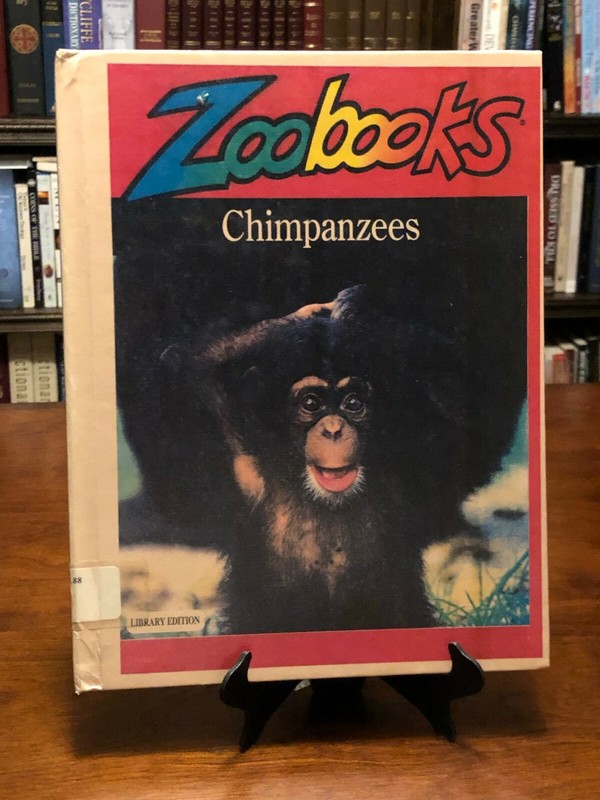 CHIMPANZEES by Ann Elwood (Zoobooks Series) VG Condition – HC
