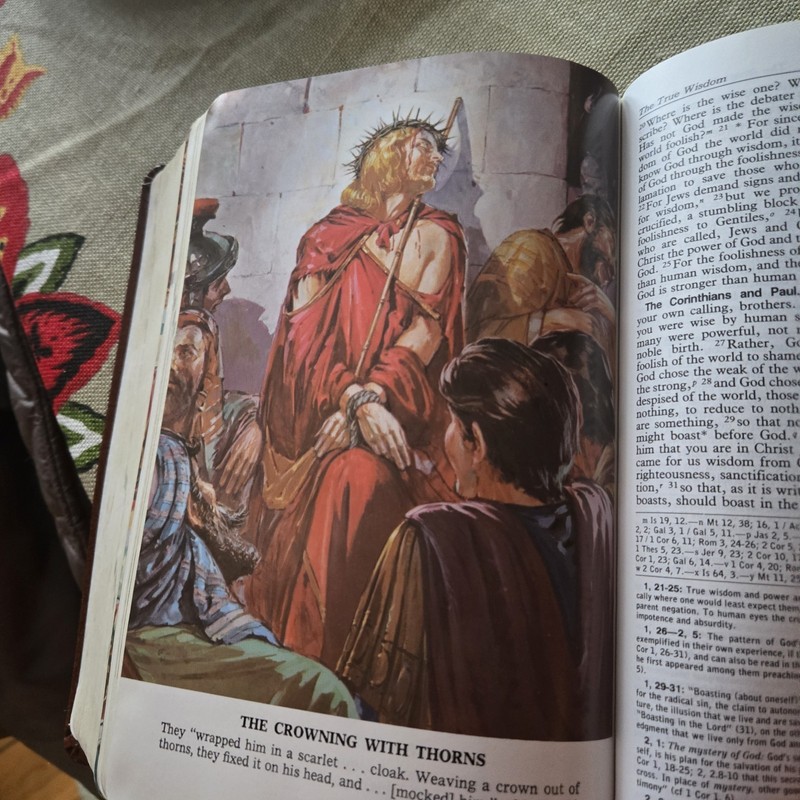 New American Bible St. Joseph Medium Size Edition Illustrated Indexed Leather gallery