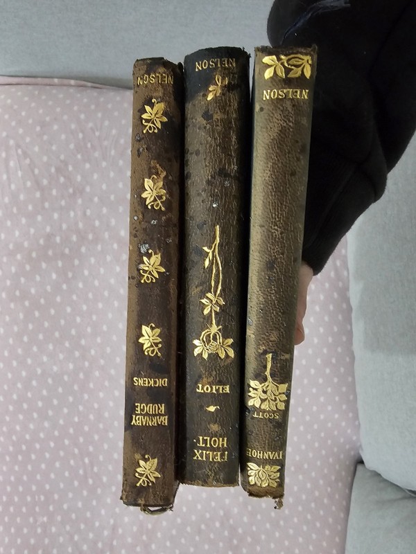 Thomas Nelson & Sons 1919 Leather Illustrated Barnaby Rudge, Ivanhoe, Felix Holt gallery