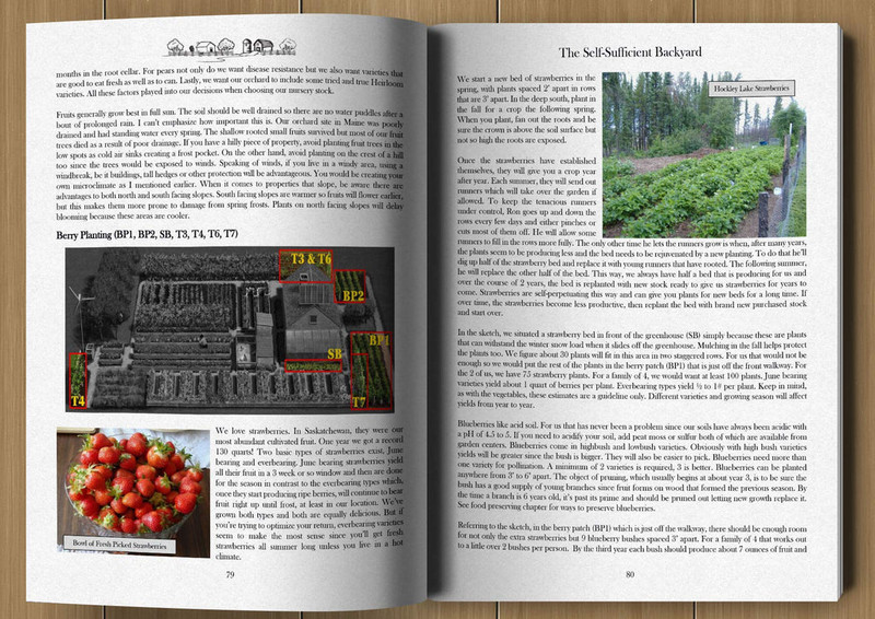 The Self-Sufficient Backyard for Paperback Book gallery