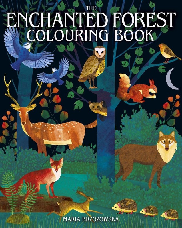 The Enchanted Forest Colouring Book by Maria Brzozowska Paperback Book