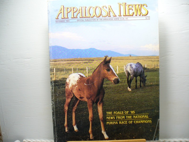 594 Vintage Appaloosa News Magazine Original September 1985