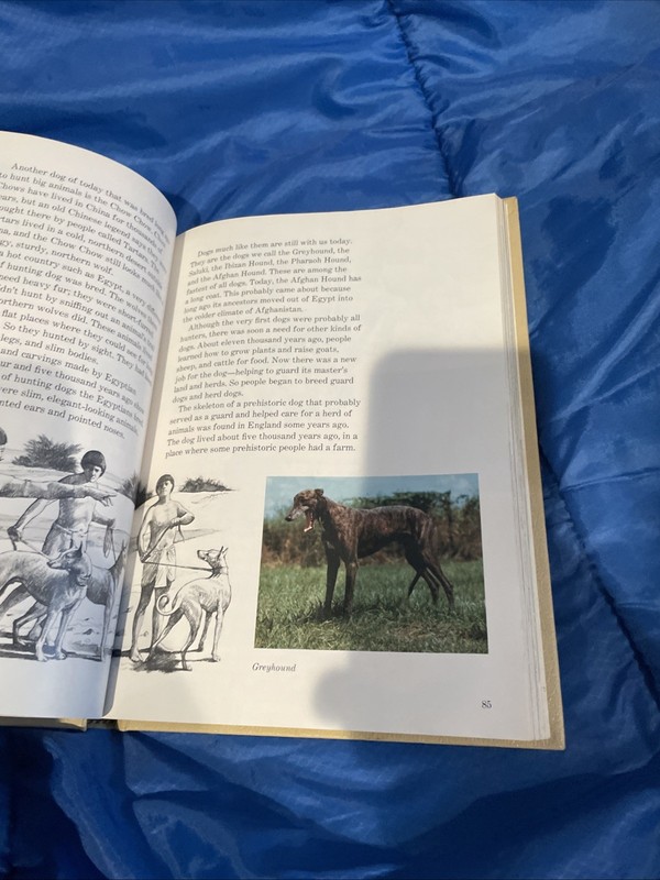 About Dogs The 1977 Childcraft Annual gallery