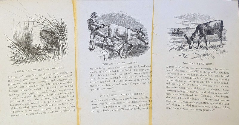 Loose Pages Ephemera AESOP'S FABLES 1800s Victorian Art Illustrations Animals gallery