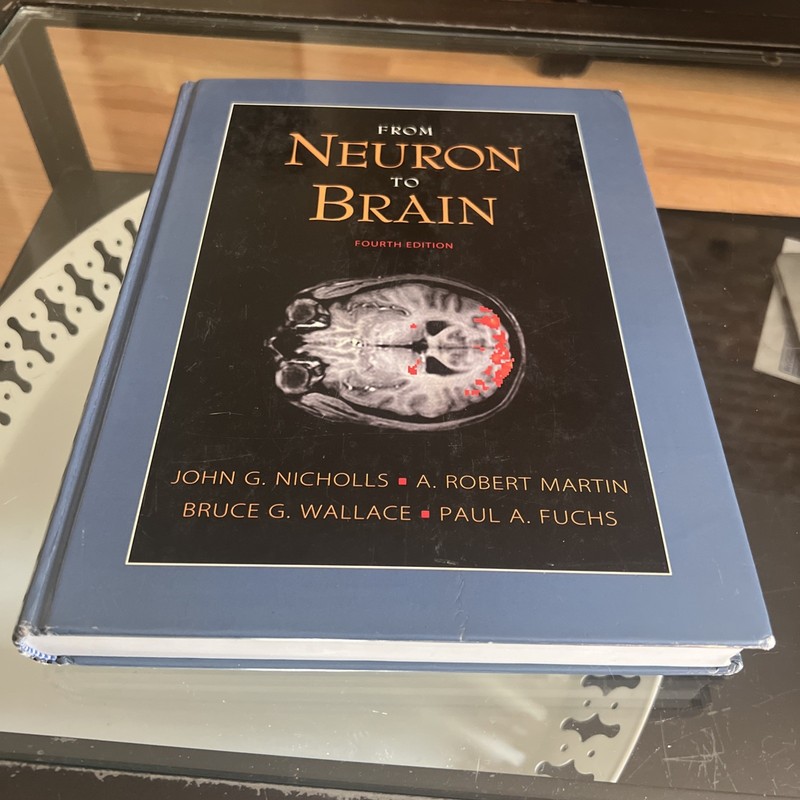From Neuron to Brain: A Cellular and – Hardcover, by Martin A. Robert; – Good
