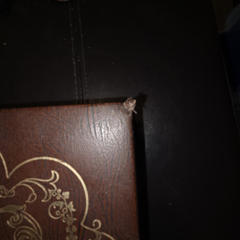 Vintage 1970s Fireside Family Edition Holy Bible (King James Version) with Salt gallery