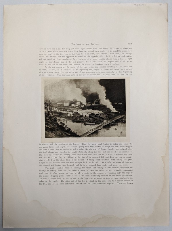 W C Muir Fitler, John / Navarro engraving Mendocino California 1st #300480