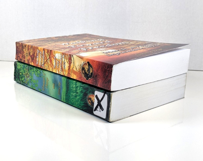 Set 2 The Bregdan Chronicles Ser. Books Ginny Dye #7,20~Walking Towards Freedom gallery