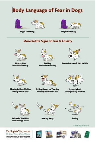 Teaching Fido to Learn to Earn – VERY GOOD