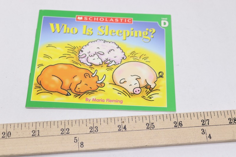 Level D Little Leveled Readers: Who Is Sleeping? By Maria Fleming