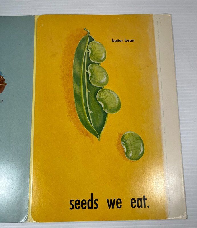 Picture Fold-Outs: Plants That Provide Food (6 Fold Outs) Jane Belk Moncure 1969 gallery