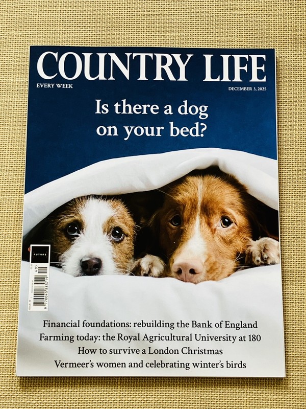 COUNTRY LIFE MAGAZINE 3 DECEMBER 2025 Issue #49. Is there a dog in your bed?