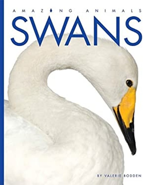 Swans Hardcover Valerie Bodden