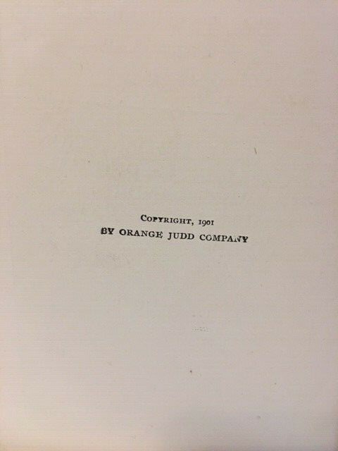 ALFALFA Antique Orange Judd Company 1907 Plants and Herbs Rare First Edition gallery