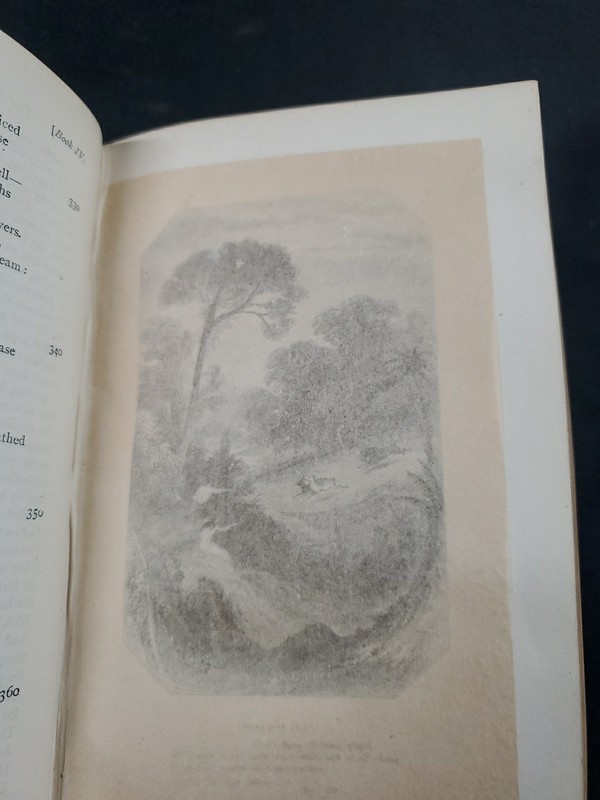 1871 Book The Poetical Works John Milton Nelson & Sons Textured Green Cover gallery