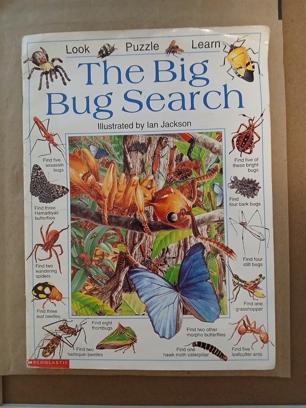 SCHOLASTIC THE BIG BUG SEARCH by CAROLYN YOUNG / ILLUST. by IAN JACKSON PAPERBAC