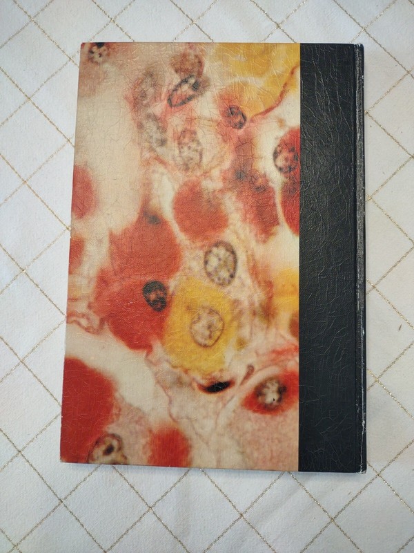 Theory and Practice of Histotechnology by Sheehan & Hrapchak 1973 Illust. 1st Ed gallery