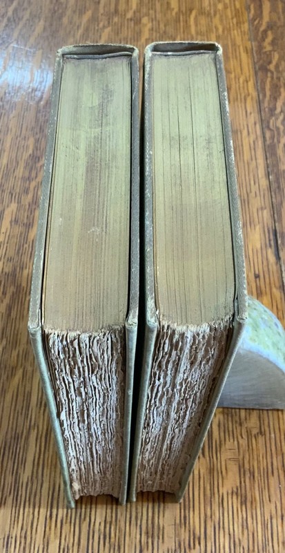 1900 Captain Fracasse Theophile Gautier Signed Deco Binding by Amy Maria Sacker gallery