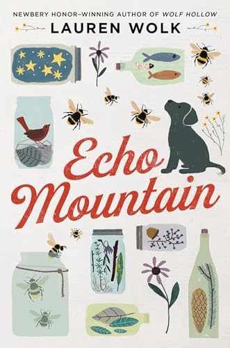 Echo Mountain – Hardcover, by Wolk Lauren – Very Good g