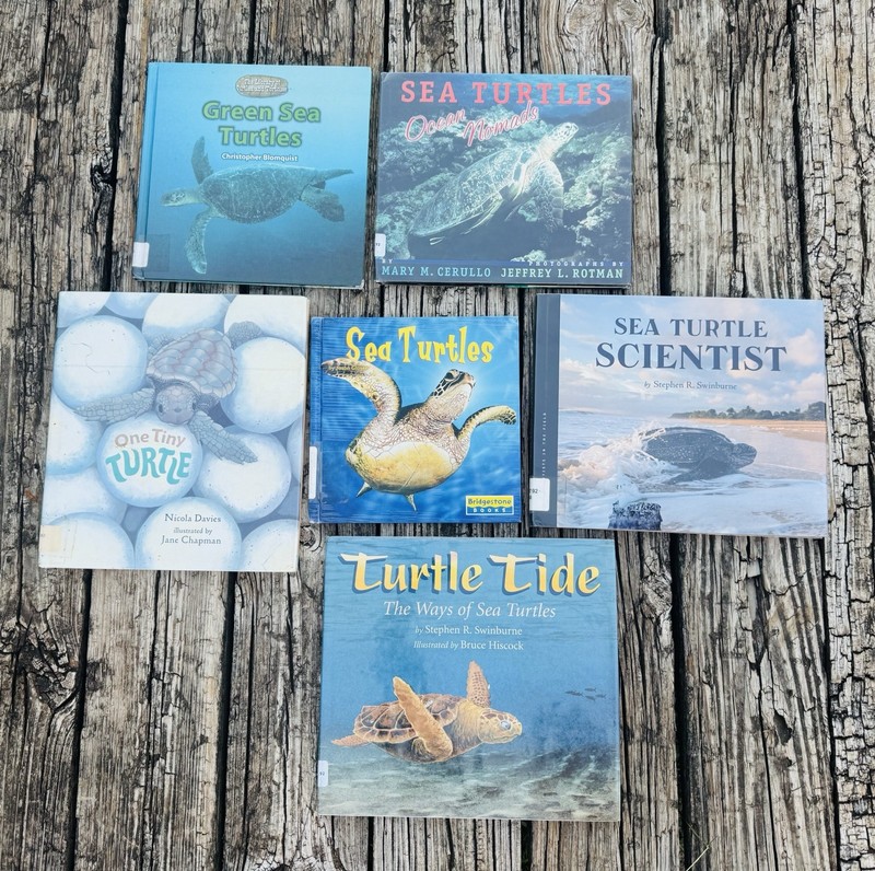 Lot of 6 Hardcover Children’s Ocean Sea Turtle Theme Books Instant Library