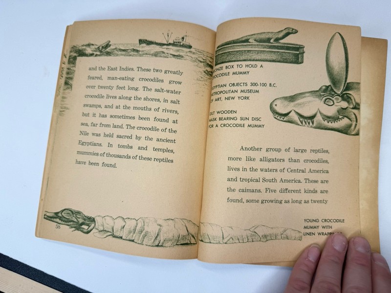 Alligators And Crocodiles by Herbert S. Zim, 1970, Small Vintage Paperback gallery