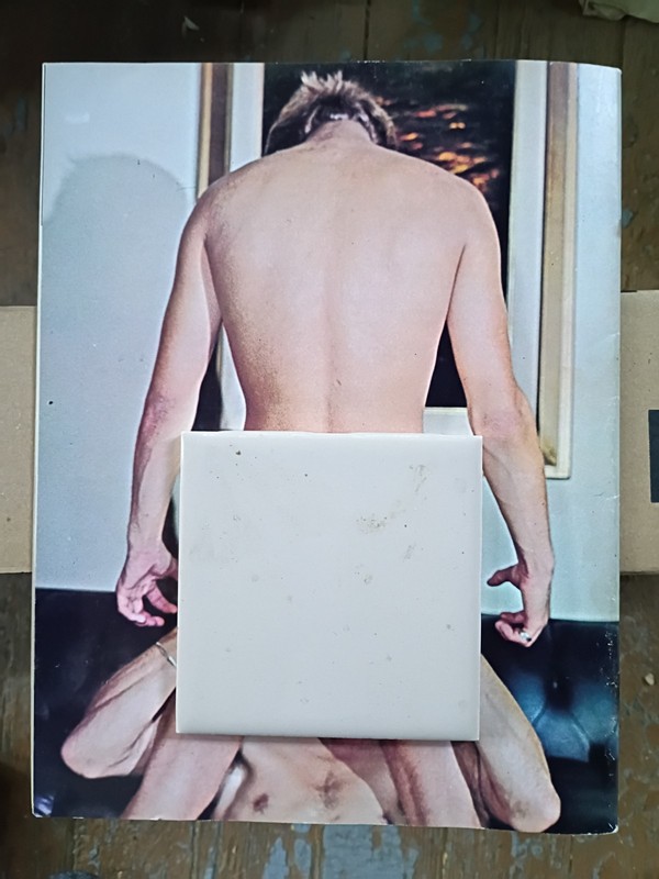 LOVE MACHINES ~ Gay Photo Fantasy Magazine ~ GET IT WHILE YOU CAN ~ M0379 gallery