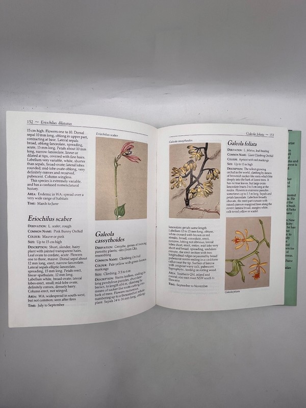 Angus & Robertson Field Guide To Australian Orchids Hardcover Book Botany gallery