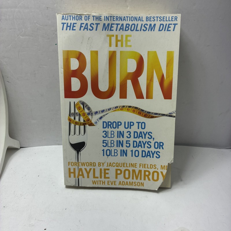 The Burn by Haylie Pomroy