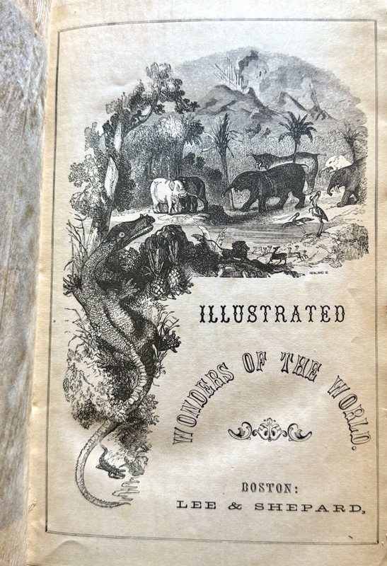 1874 Wonders of the World Illustrated Antique Book Lee & Shepard Victorian gallery