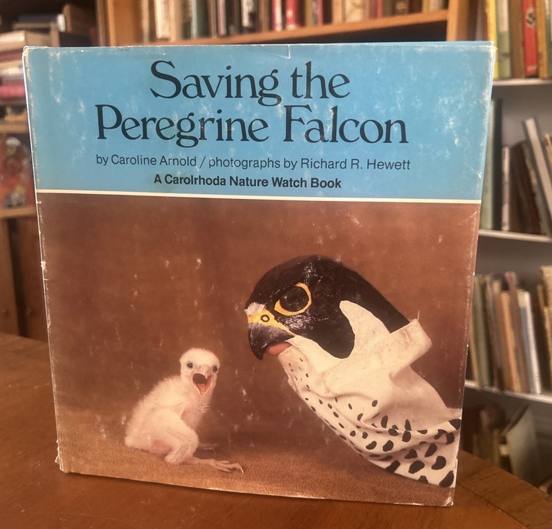Saving the Peregrine Falcon by Caroline Arnold HCDJ 1st Printing VG+